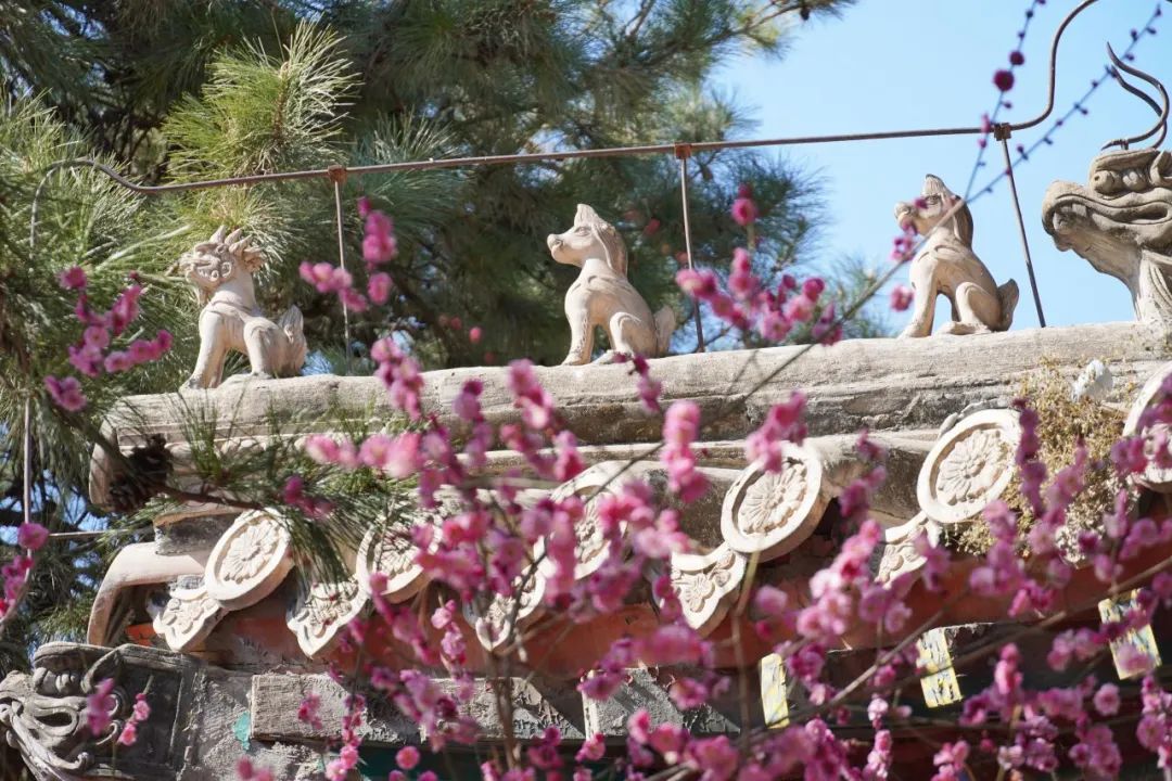 北大经院学者 | 锁凌燕：人工智能助推保险业开拓式创新